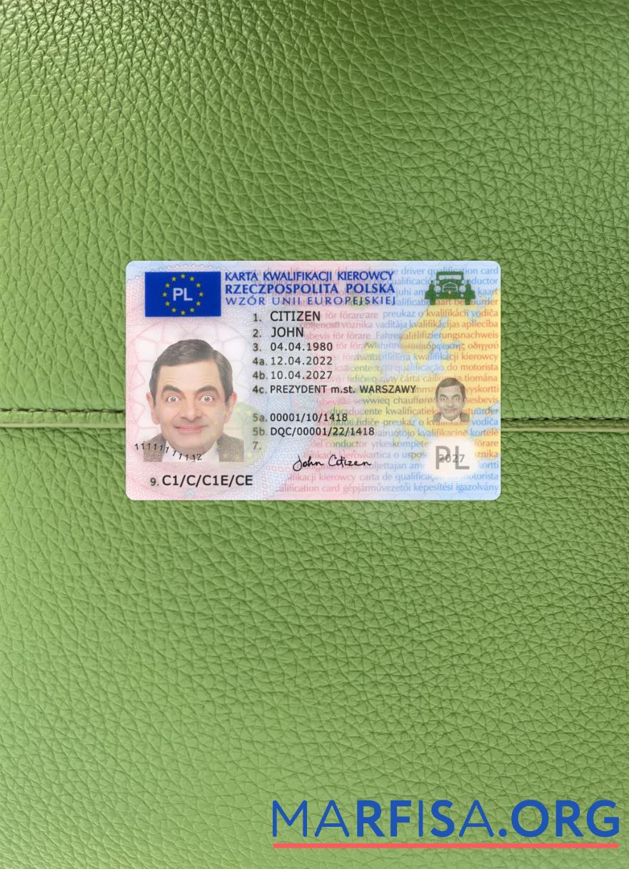 Blank Poland driving license 2022 present photolook template